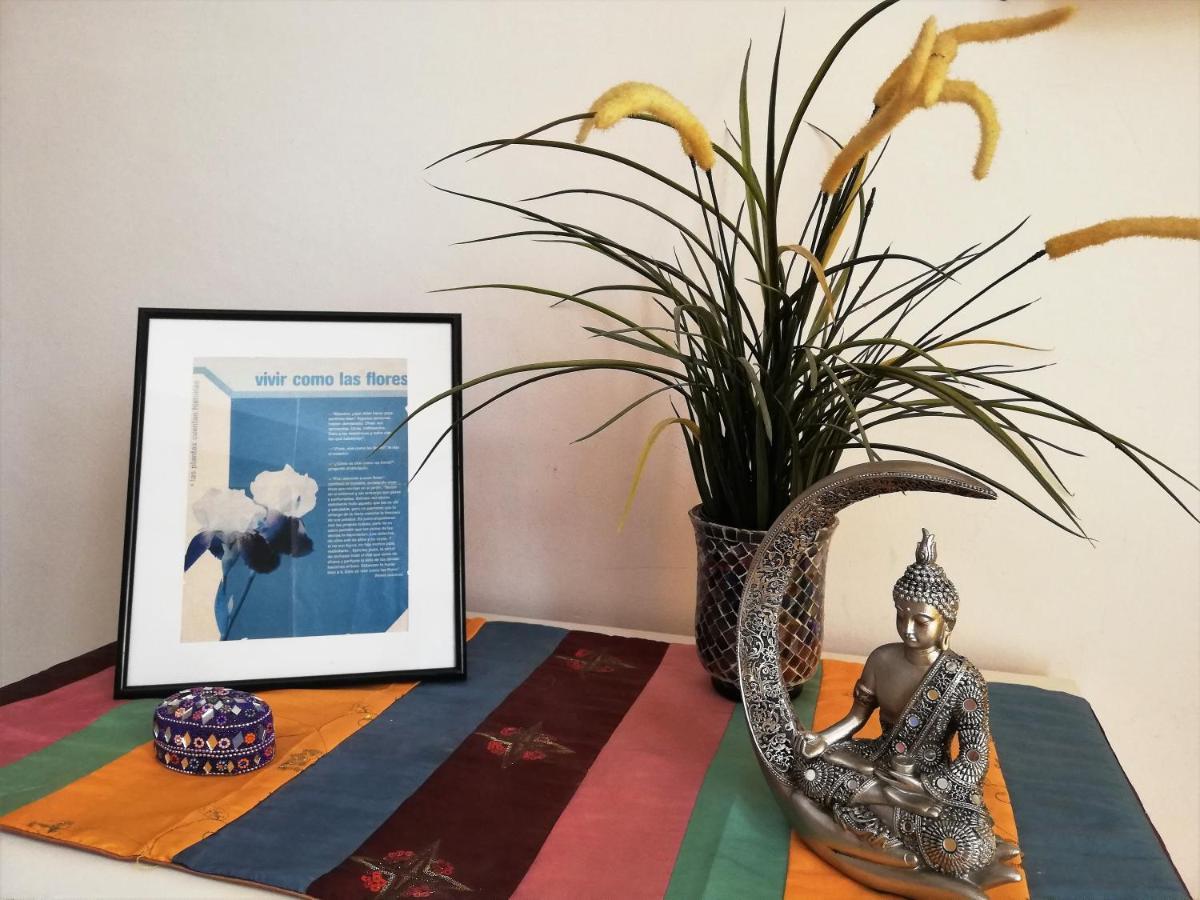 Estudio Con Encanto Appartamento